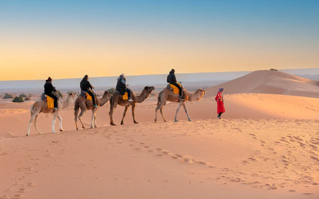 Desert Tours from Marrakech: What to Know Before You Book